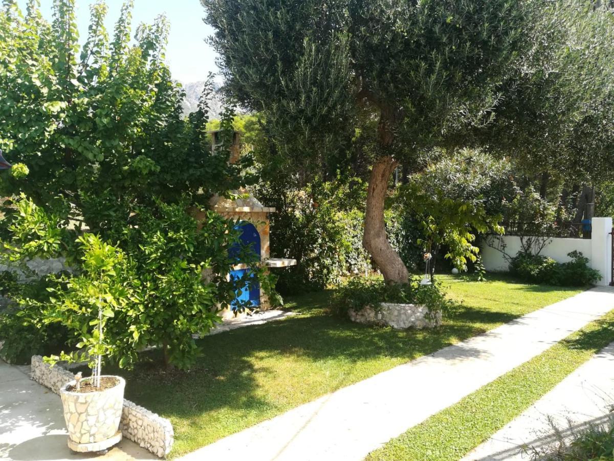 زاووستروج Apartment Soldo المظهر الخارجي الصورة